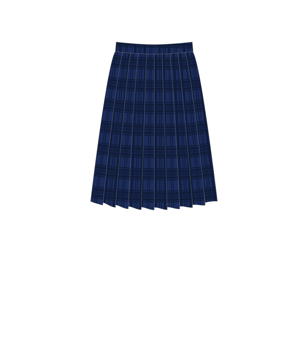 武豊高校スカート