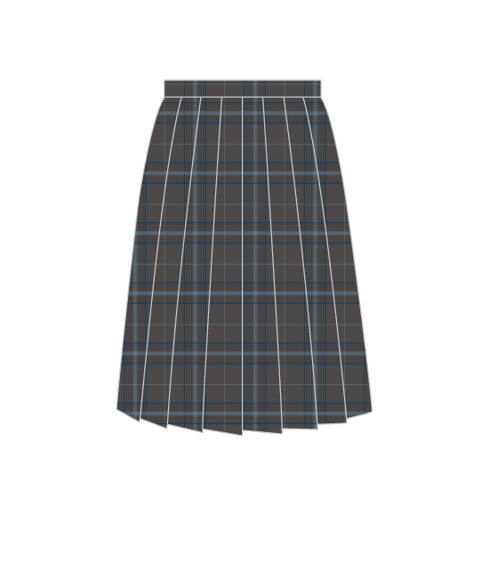 武豊町中学校スカート